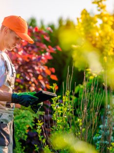 mantencion_jardin_verano_1