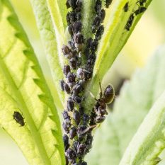 5ff6c9211de941b28bfb88bcdd2fa711